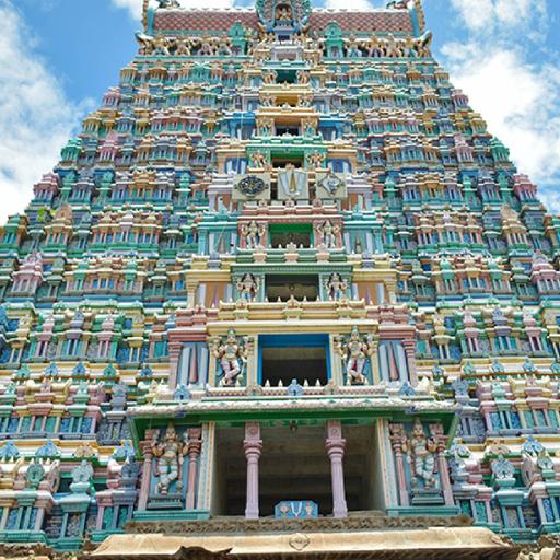 Picture of the product