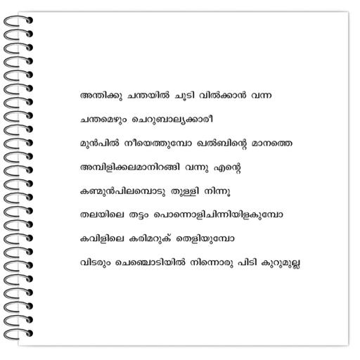 Picture of the product