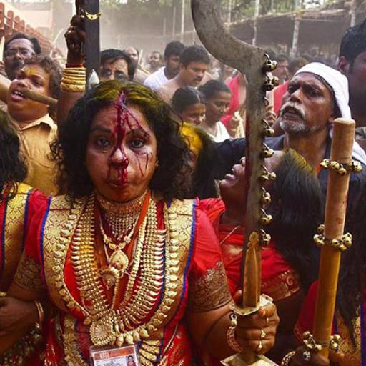 Picture of the product