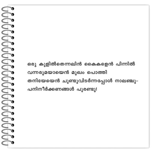 Picture of the product