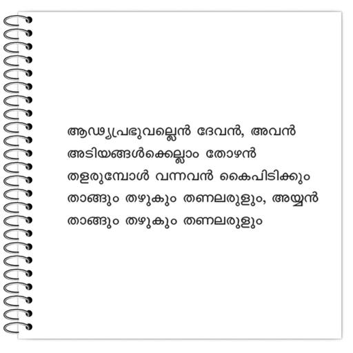 Picture of the product