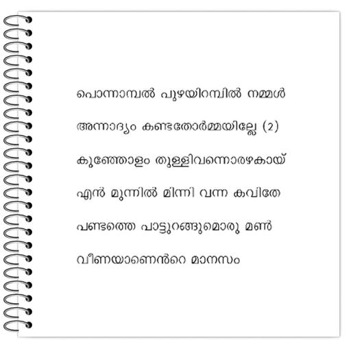 Picture of the product