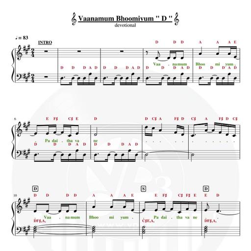 Picture of the product