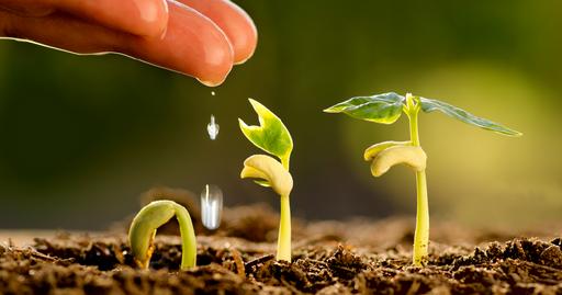 Picture of the category