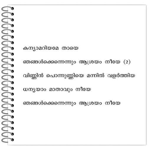 Picture of the product