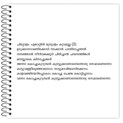 Picture of the product