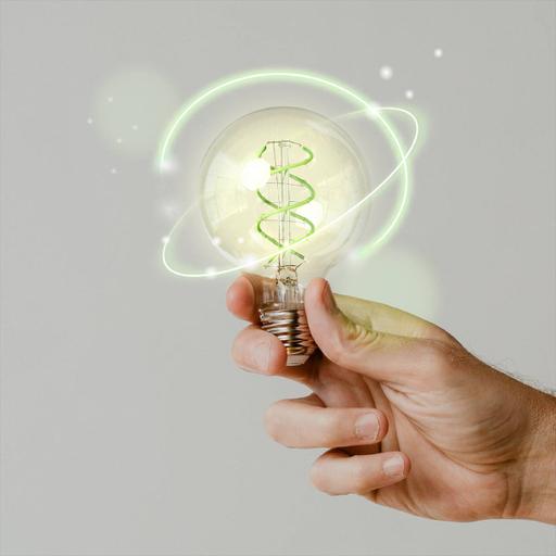 Picture of the product