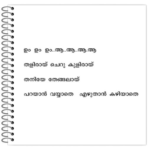 Picture of the product