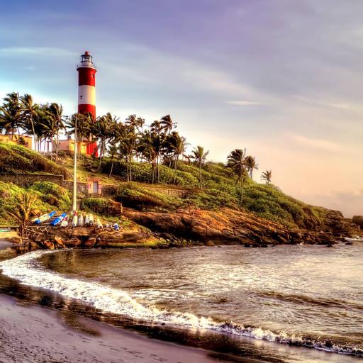 Picture of the product