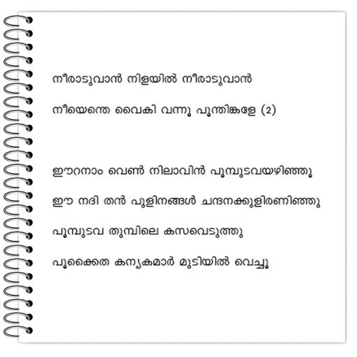 Picture of the product