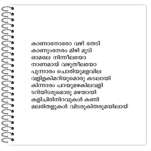 Picture of the product