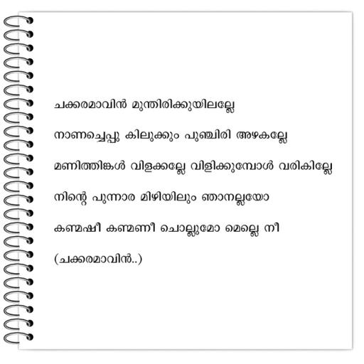 Picture of the product