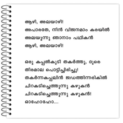 Picture of the product