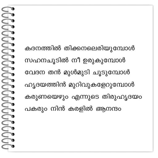 Picture of the product