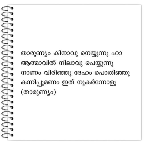 Picture of the product