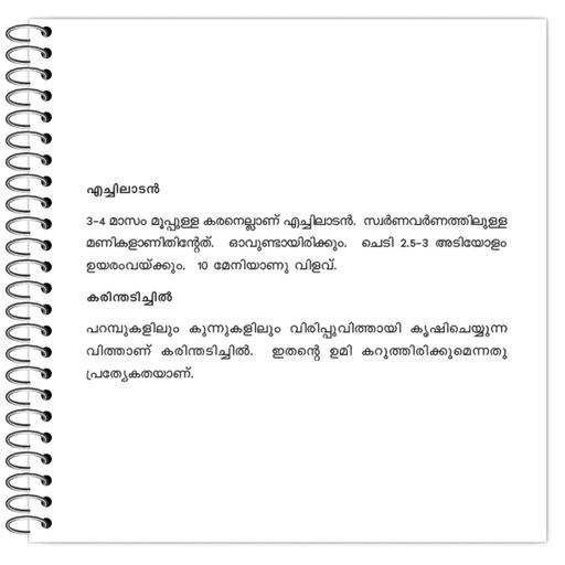 Picture of the product