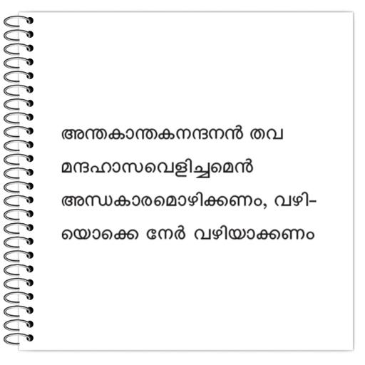 Picture of the product