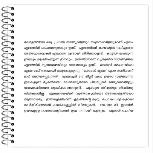 Picture of the product