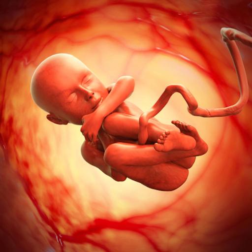 Picture of the product