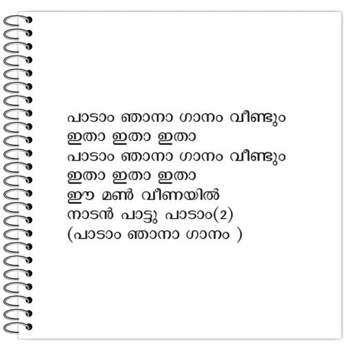 Picture of the product