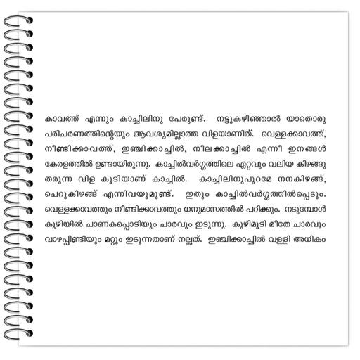 Picture of the product