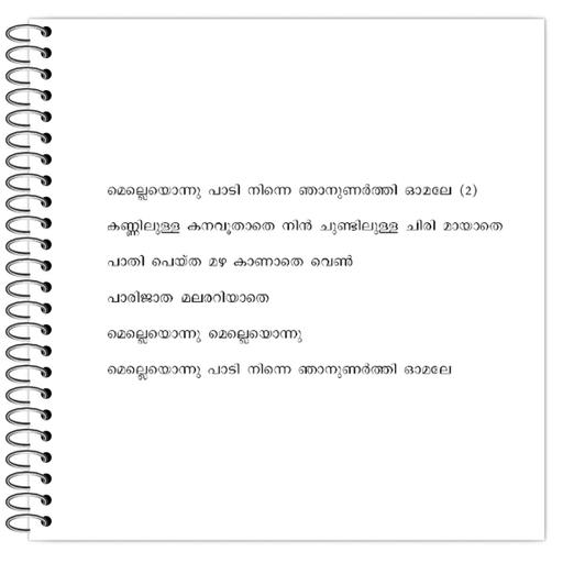 Picture of the product