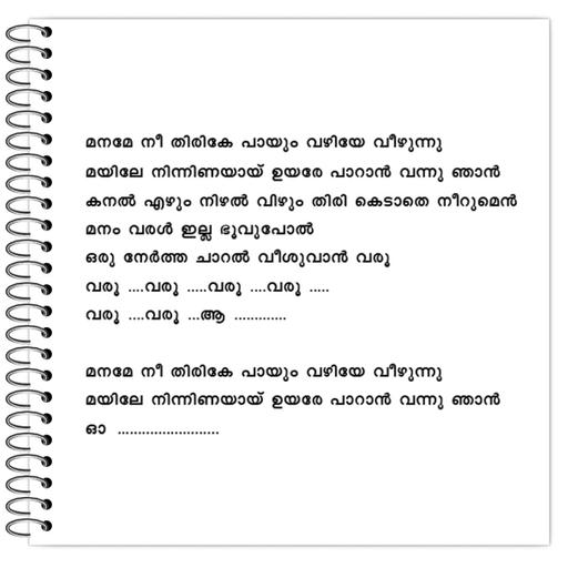 Picture of the product