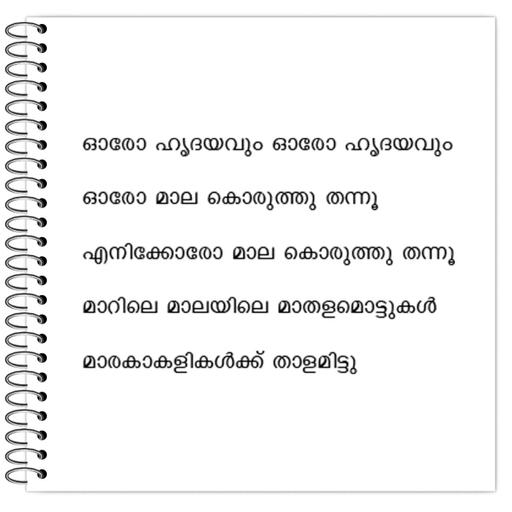 Picture of the product