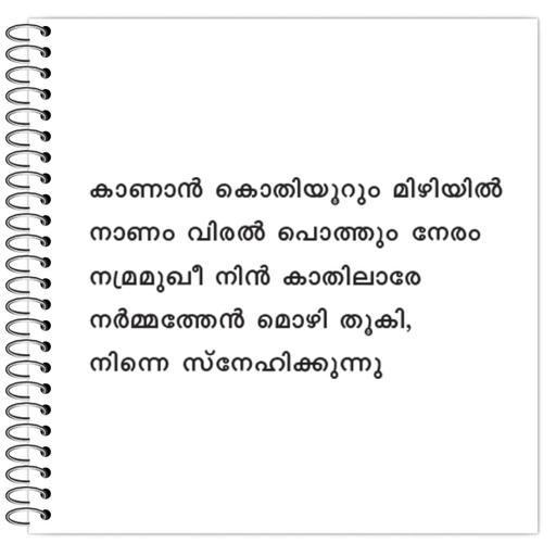 Picture of the product