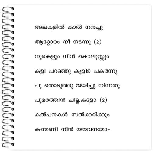 Picture of the product