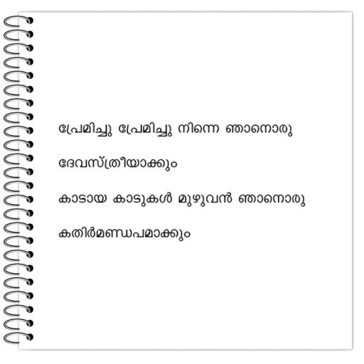 Picture of the product