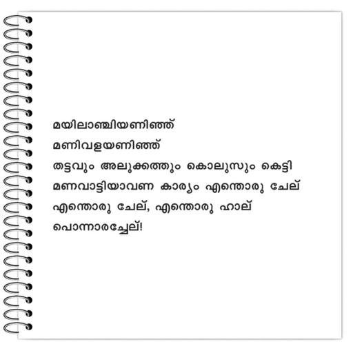 Picture of the product