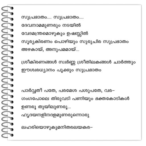 Picture of the product