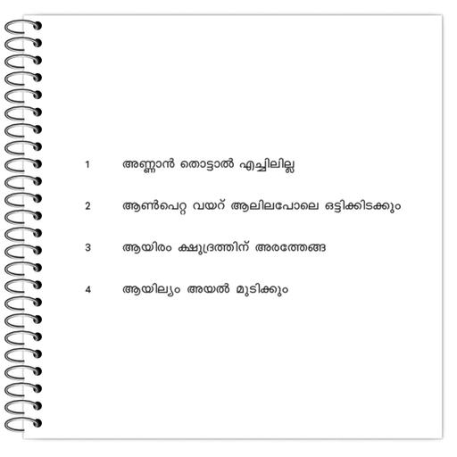 Picture of the product