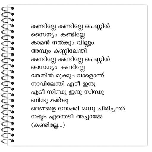 Picture of the product