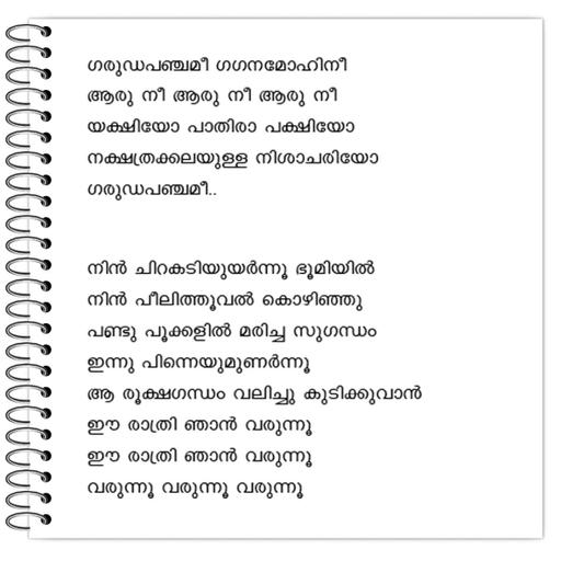 Picture of the product