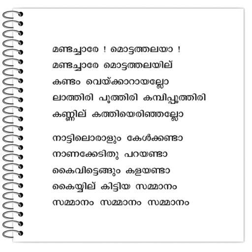 Picture of the product