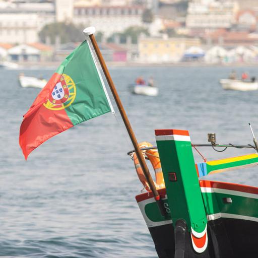 Picture of the product