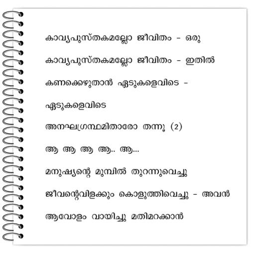 Picture of the product