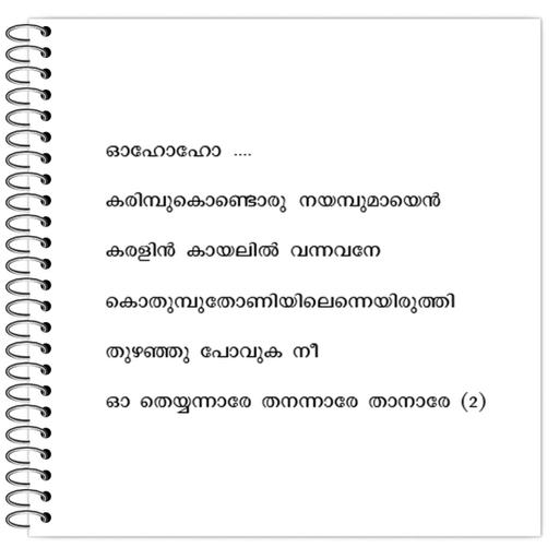 Picture of the product