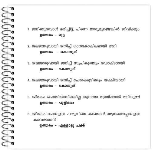 Picture of the product