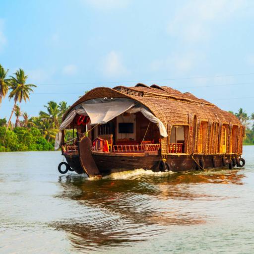 Picture of the product