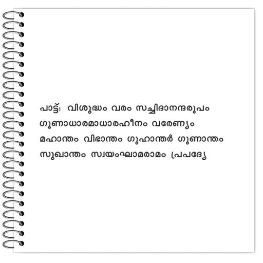 Picture of the product