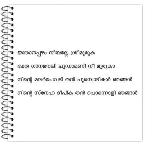 Picture of the product