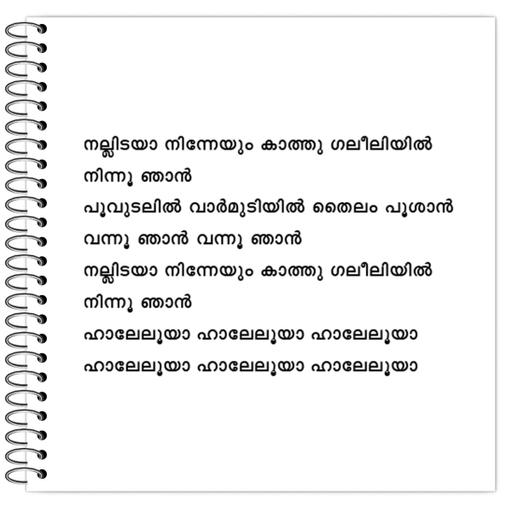 Picture of the product