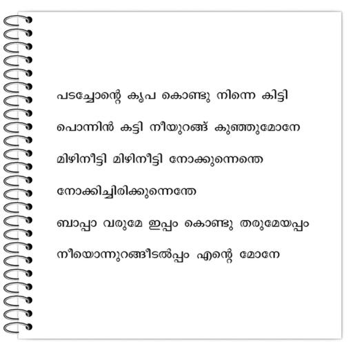 Picture of the product