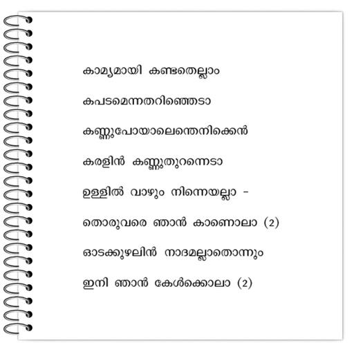 Picture of the product