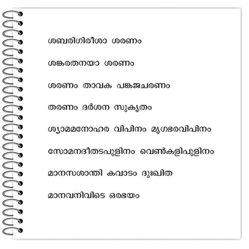 Picture of the product