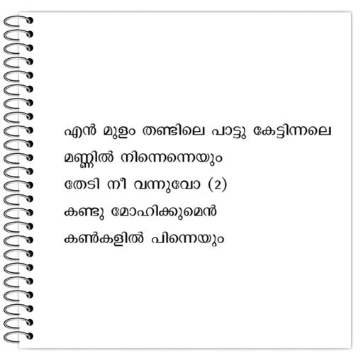 Picture of the product