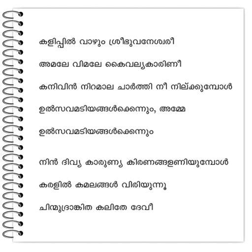 Picture of the product